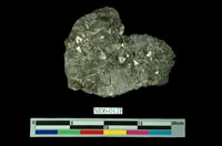 藏品(黃鐵礦)的圖片